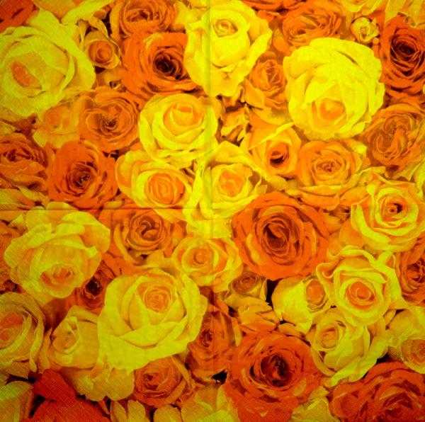 780 Roses - 3-ply - Artebene